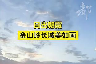 官方：美国商人收购西布朗87.8%股份达协议，下周完成交易